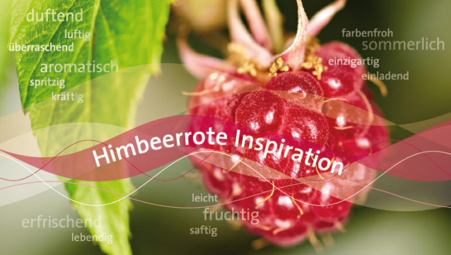 Himbeerrot GmbH – Es gibt nur eine Chance für den ersten Eindruck!
